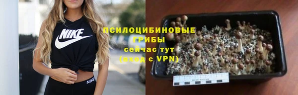 прущая мука Алексин