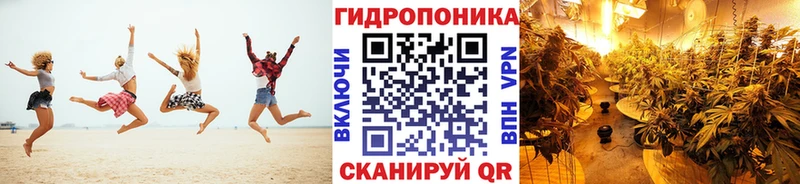 где купить наркоту  Железногорск-Илимский  Каннабис VHQ 